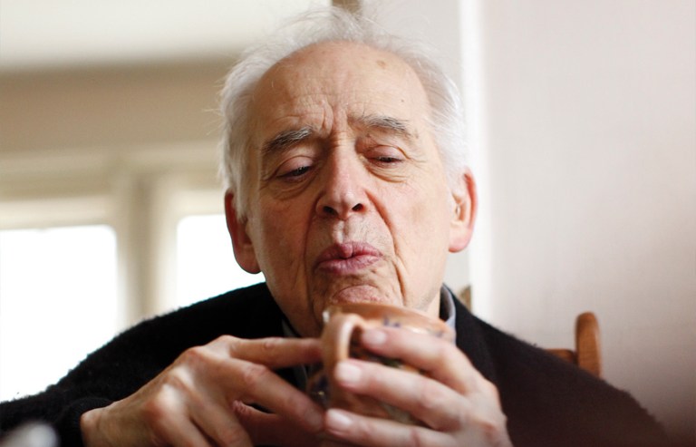 Harold Bloom in New Haven, Connecticut, in 2011. (Thomas Iannaccone/WWD/Penske Media via Getty Images)