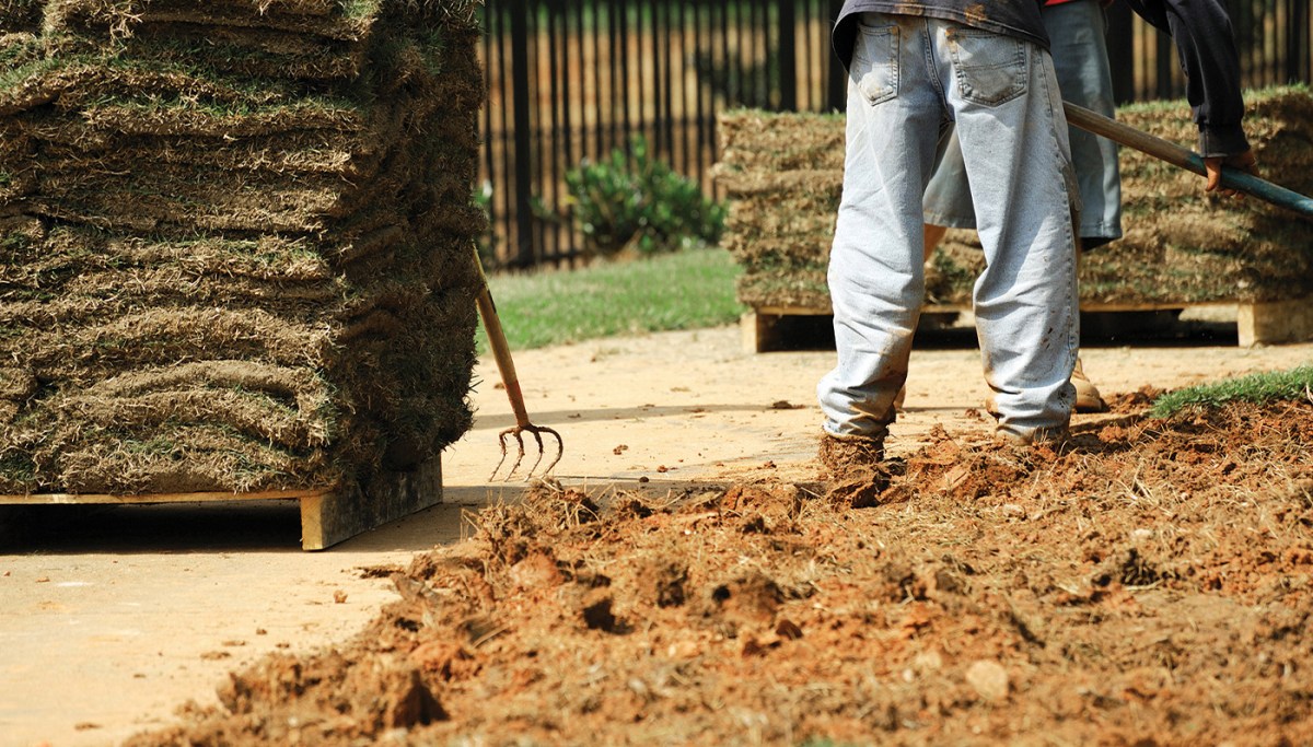 Praying for rain while planting sod