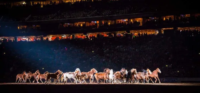 One of the rodeos produced by Binion's Cervi Company.