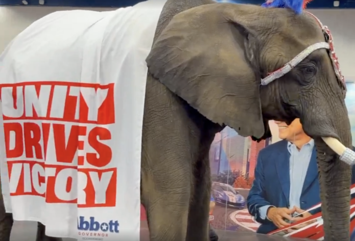Texas GOP convention’s live elephant steals the show — for all the wrong reasons