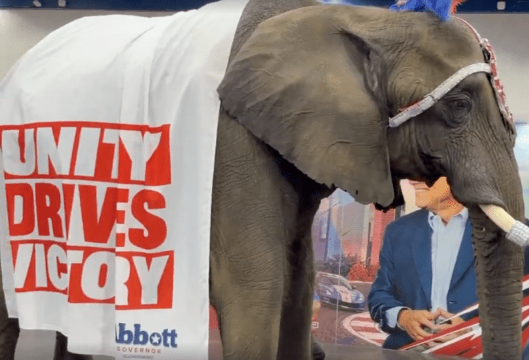 An elephant named Paige at the 2026 Republican Party of Texas Convention in Houston, Texas.