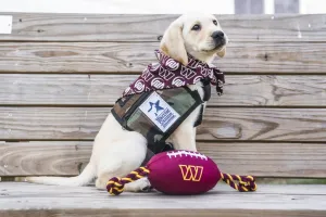 Who let the dogs out? Washington Commanders ready for new season with team dog