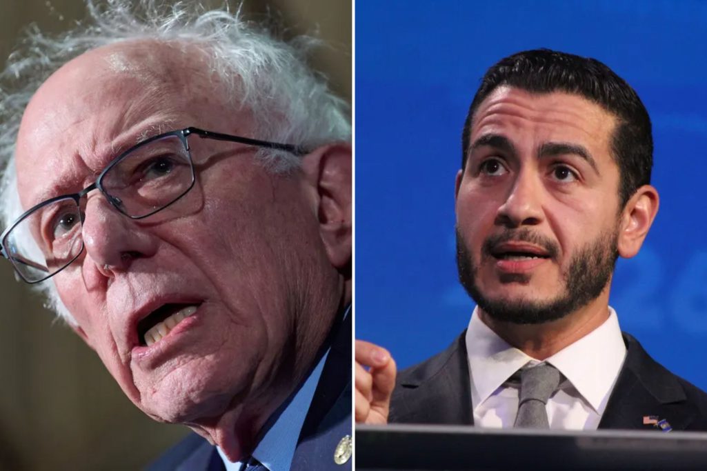 Michigan Senate candidate agrees with Sanders on public ownership of AI firms