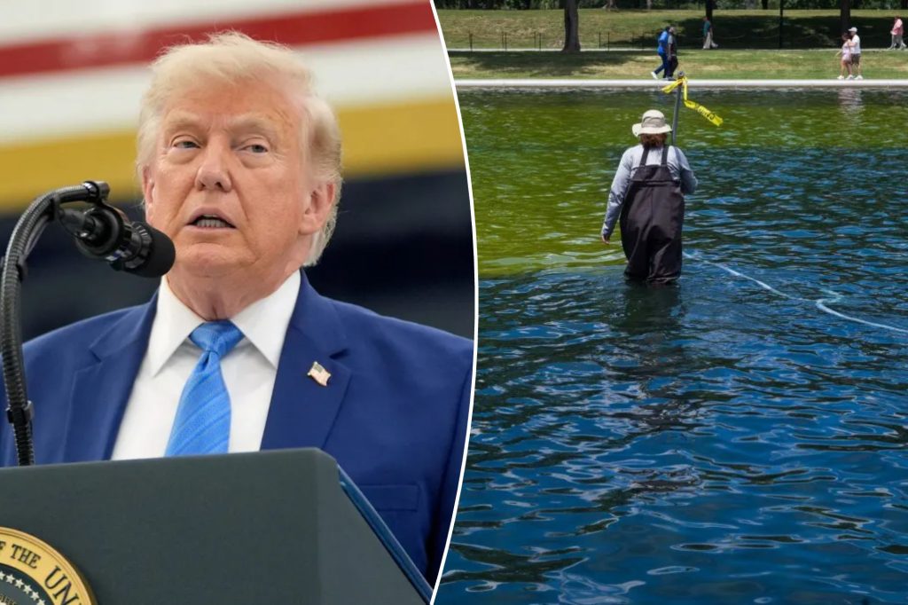 Trump blames ABC reporter and vandals for peeling Reflecting Pool and algae growth
