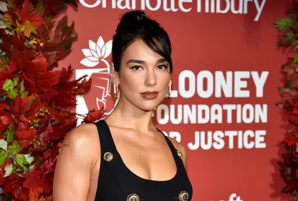 Why isn’t Mein Kampf in Dua Lipa’s library?