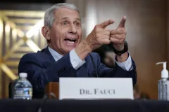 Fauci testifies before the Senate: What to know