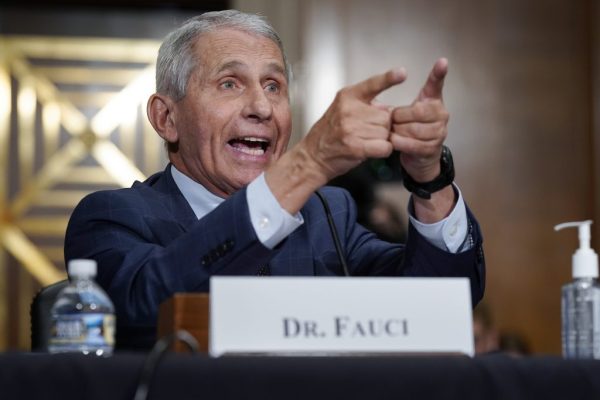 Fauci testifies before the Senate: What to know