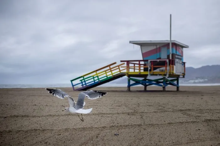 California hero lifeguard speaks out: ‘I love what I do’