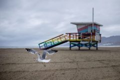 California hero lifeguard speaks out: ‘I love what I do’