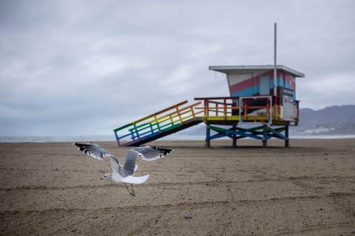 A seagull passes a lifeguard tower under heavy clouds on Ginger Rogers Beach Tuesday, Oct. 14, 2025, in Santa Monica, California.