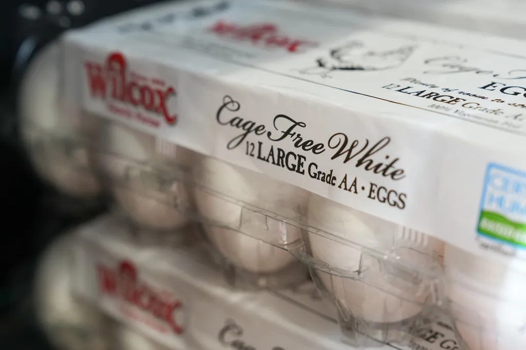 Egg producers reach $3.3 million settlement in DOJ lawsuit over ‘manipulated’ prices