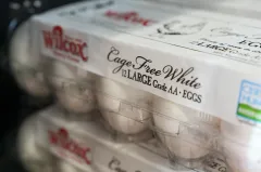 Egg producers reach $3.3 million settlement in DOJ lawsuit over ‘manipulated’ prices