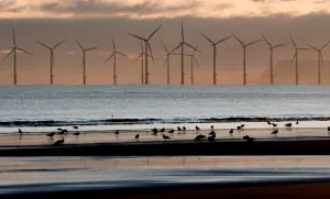RWE to scrap three offshore wind projects in $1.22 billion deal with Trump administration