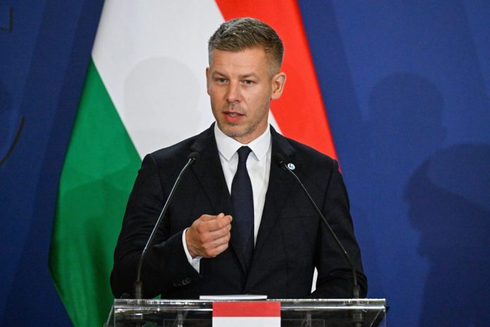 Hungary’s Magyar continues ‘Operation Purgatory’ purges with proposed amendment to oust president