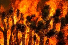 While Colorado burns, Washington says ‘contractors not acceptable’