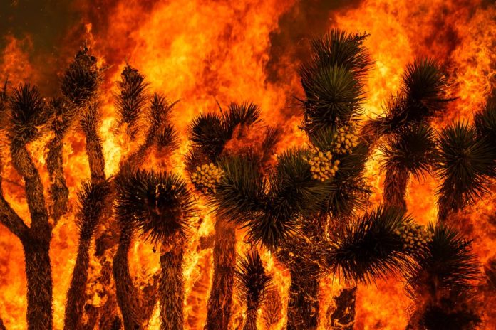 While Colorado burns, Washington says ‘contractors not acceptable’