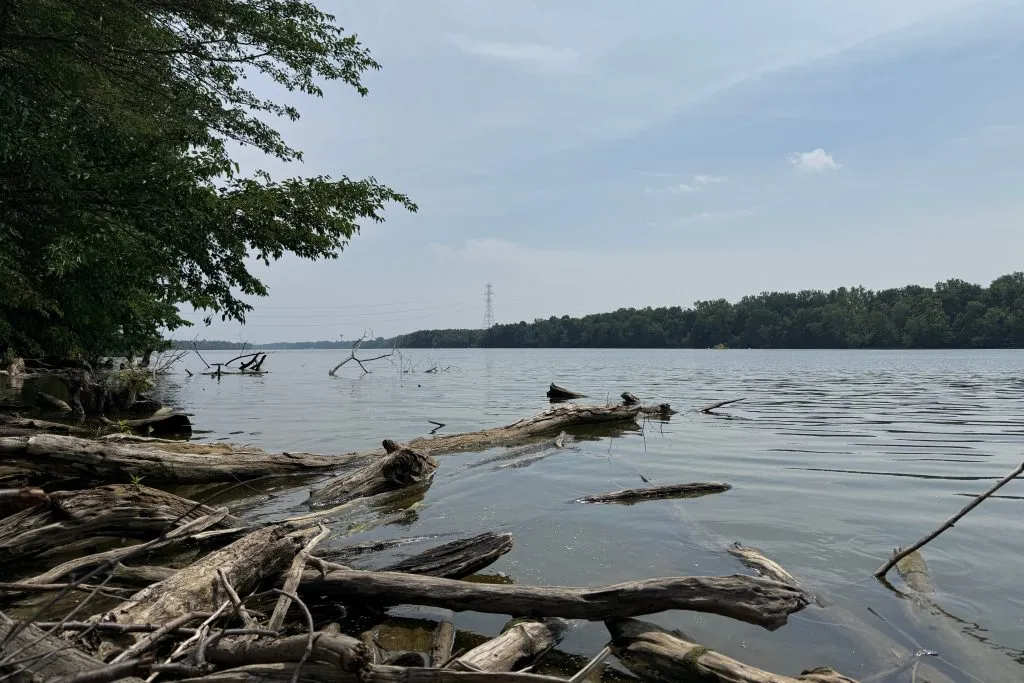Five dead after group attempts to save struggling swimmer in Ohio