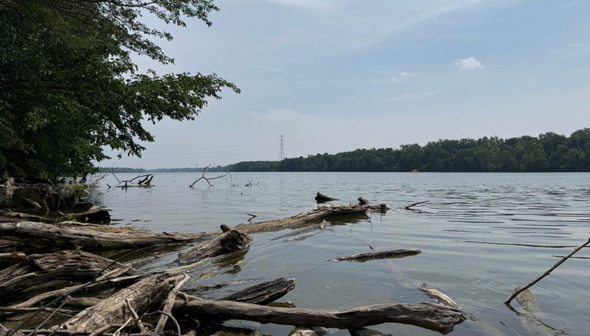 Five dead after group attempts to save struggling swimmer in Ohio