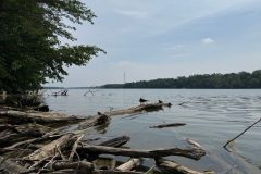 Five dead after group attempts to save struggling swimmer in Ohio