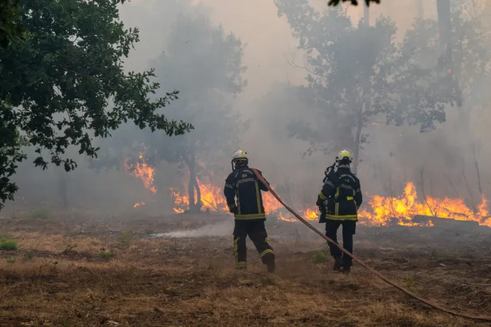 Firefighters spray water in a burning forest
