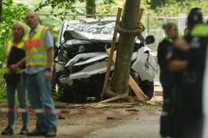 Manhunt underway after Berlin Pride van-ramming kills one and injures 16