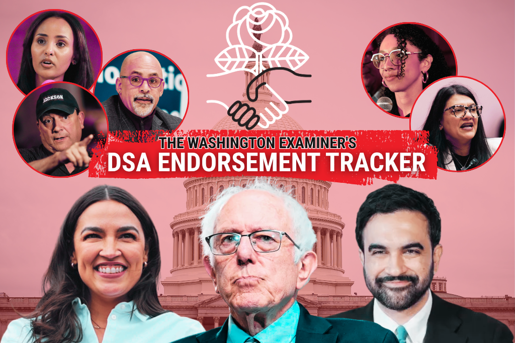 DSA endorsement tracker: Here are the socialists running for office across America