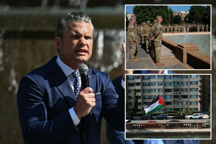 Hegseth praises National Guard’s DC mission despite ‘ingrate’ protesters and sweltering heat