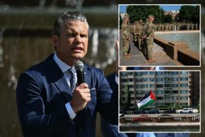 Hegseth praises National Guard’s DC mission despite ‘ingrate’ protesters and sweltering heat
