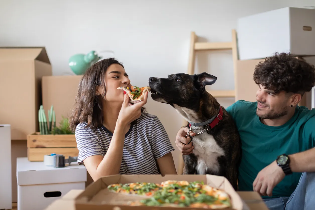 The Peter Pan generation chooses pets