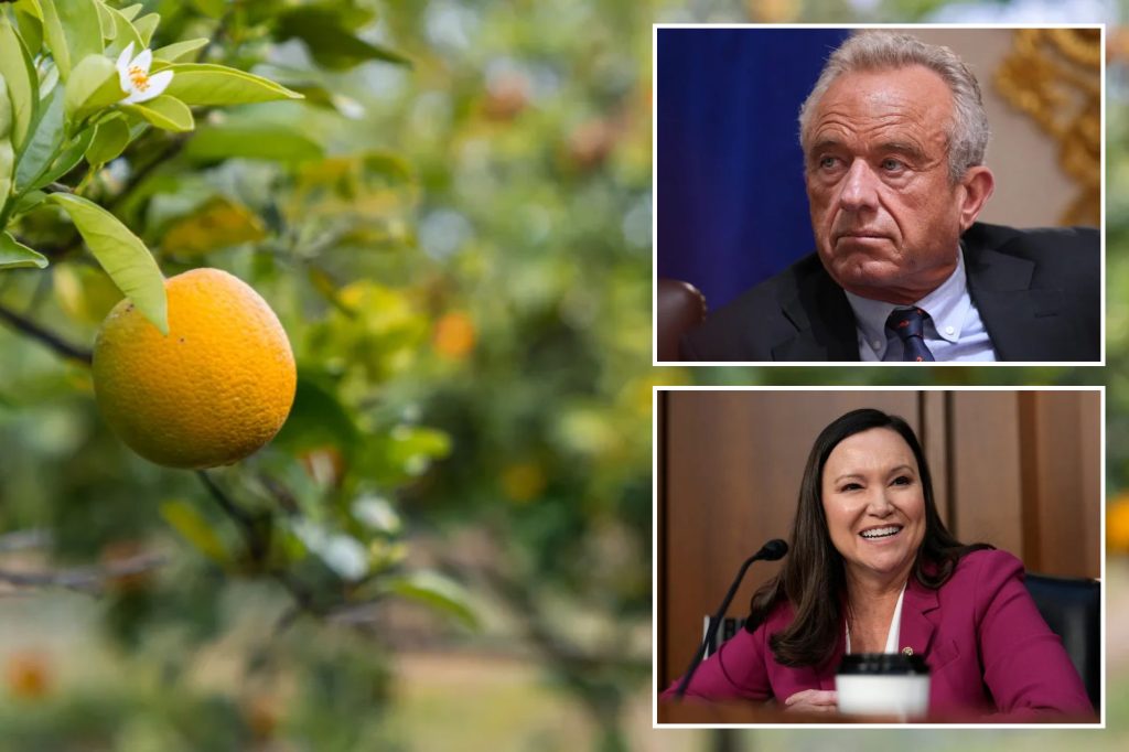washingtonexaminer.com - Gabrielle M. Etzel - RFK Jr. lowers natural sugar requirements in orange juice
