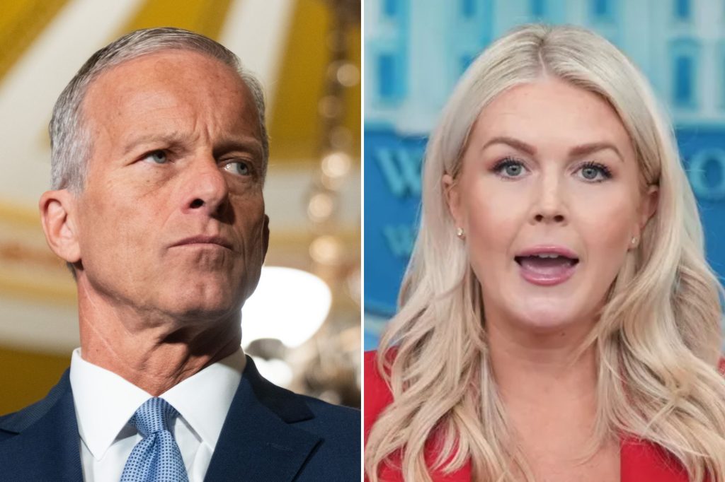 Thune fires back after White House says Trump’s patience is ‘running out’ on Save America Act: ‘Get the votes’