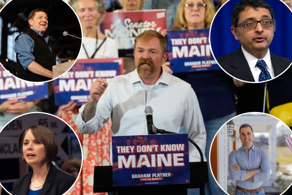 Who could run to replace Graham Platner?