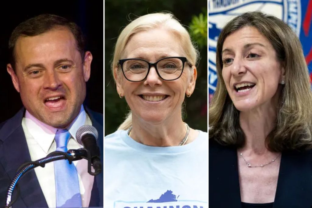 Meet the Democrats hoping to flip Virginia’s most competitive House seats in November