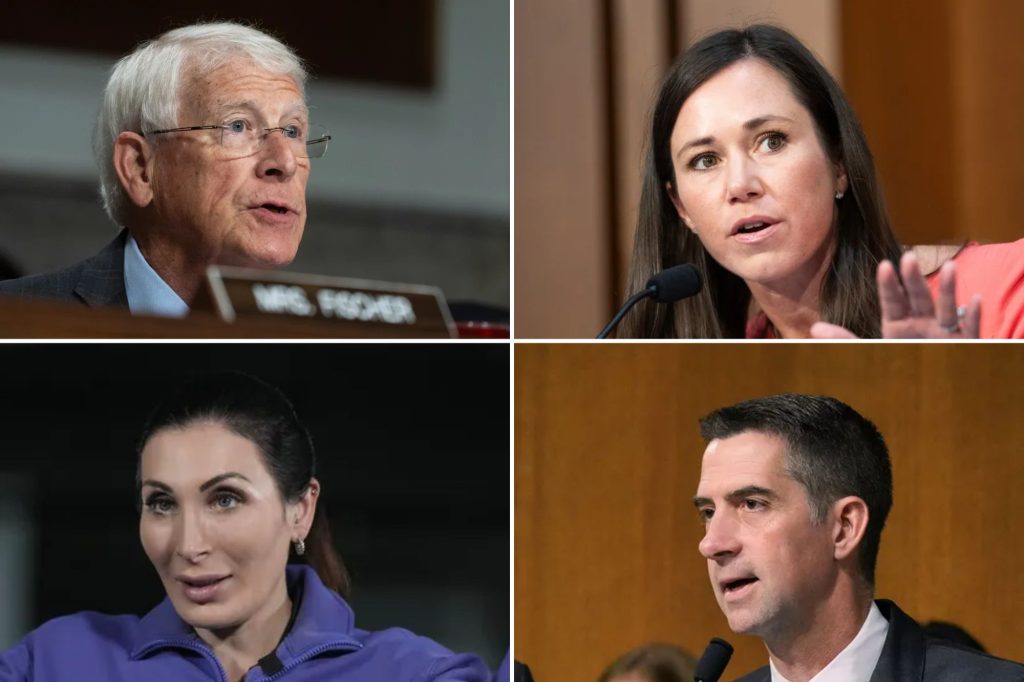 Who is in line to take Lindsey Graham’s role as ‘Trump whisperer’ for Zelensky and Netanyahu?