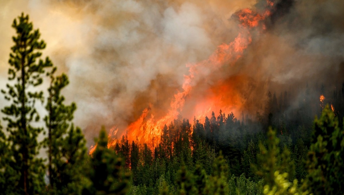“Wildfire Horror: Over 20,000 Canadians Flee in Face of Devastating Blaze”
