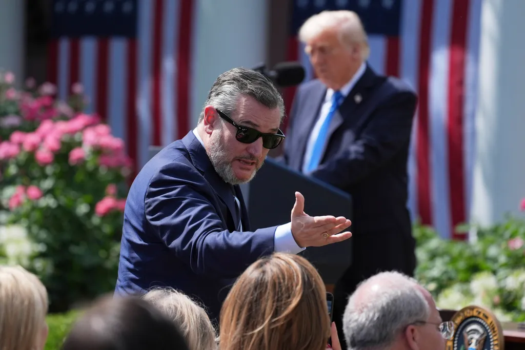 Ted Cruz suggests GOP realignment coming after Trump leaves office