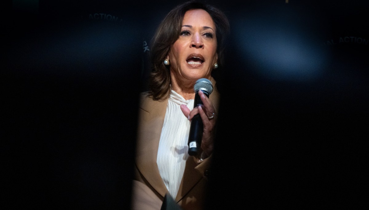 Kamala Harris Sparks Concern Among Democrats in Crucial Midterm Battles