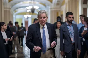 John Kennedy tells Democratic witness to ‘put down the bong’ for denying Medicaid fraud