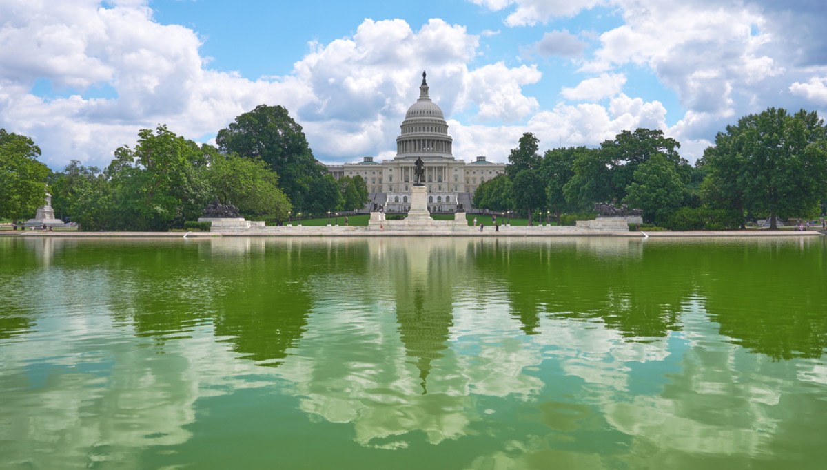 What if Republicans lose both House and Senate?