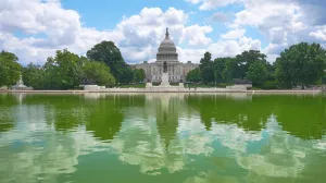 What if Republicans lose both House and Senate?
