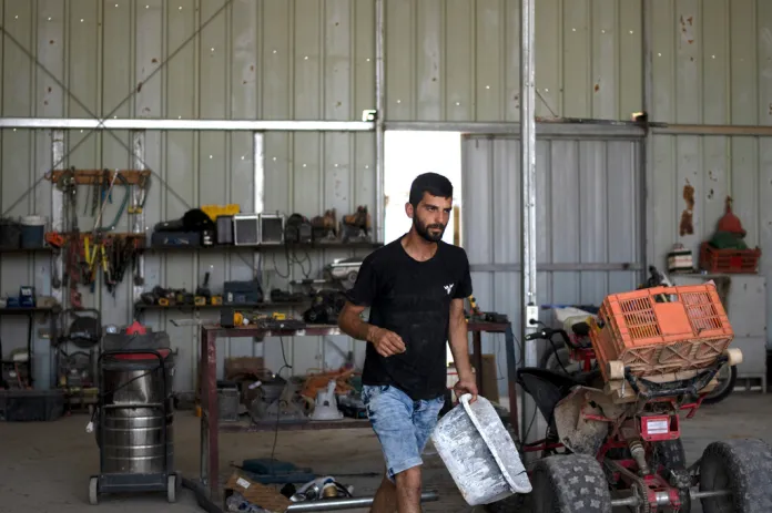 Yinon Levi