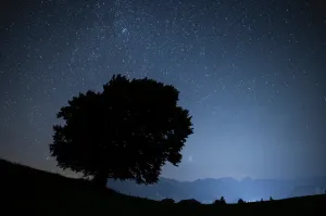How to spot the Perseid meteor shower, a summer light show that promises to dazzle