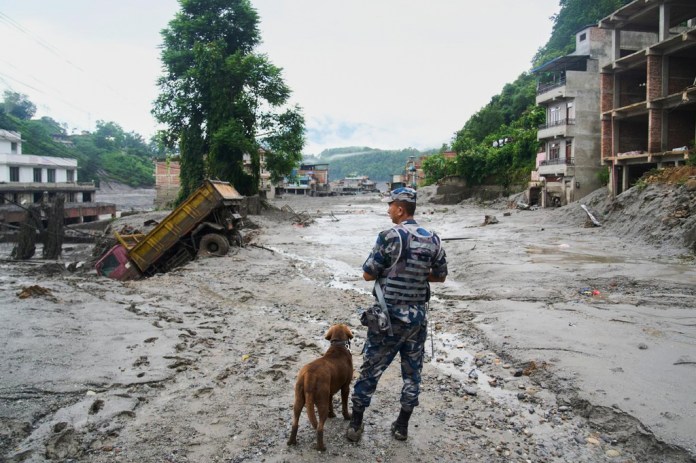 A policeman with a sniffer dog looks at the damage in the aftermath of flash floods in Devighat in the Nuwakot district in Nepal, Thursday, Aug 27, 2026. (AP Photo/Niranjan Shrestha)