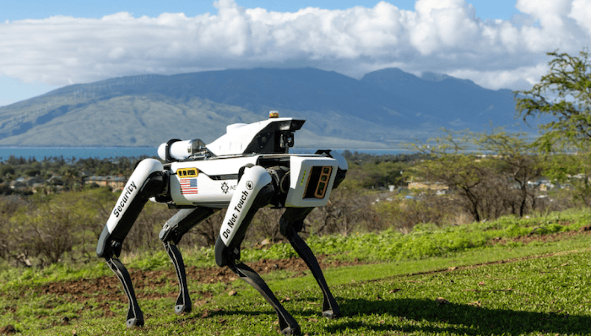 How robotic 'drone dogs' can help the Air Force maintain its fleet