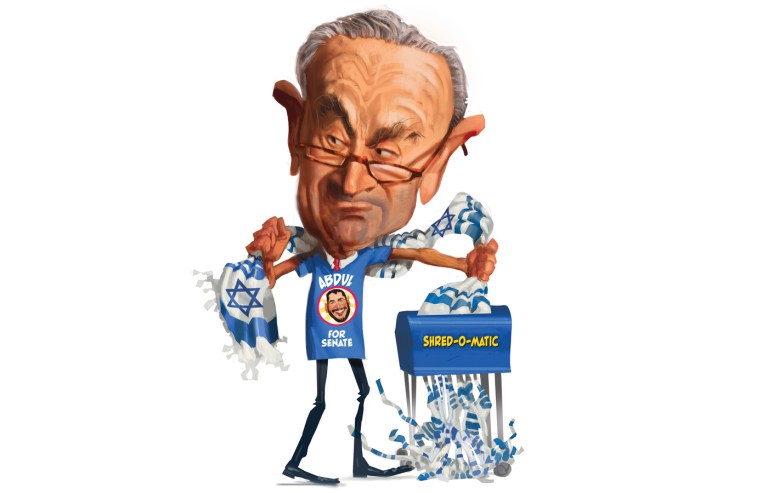 Chuck Schumer antisemitism jews israel judaism magazine illustration