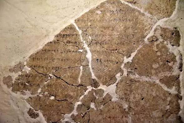 Biblical archaeology