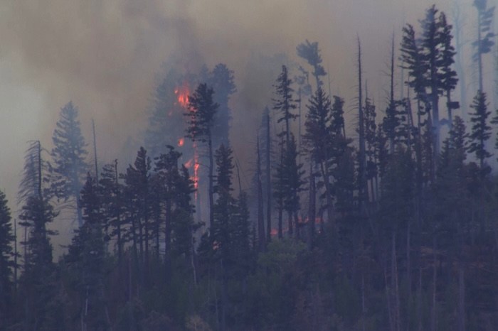 New Mexico fire