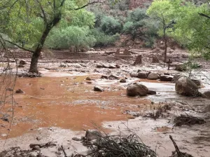 Grand Canyon flash flood leaves 1 dead and several missing or unaccounted for, park service says