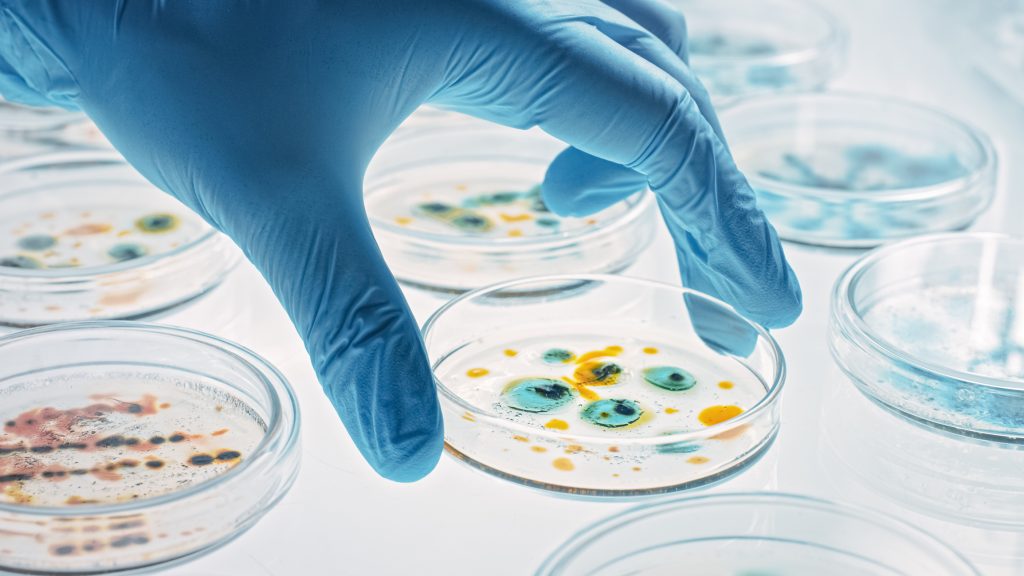 New AI-generated viruses spark biosafety fears