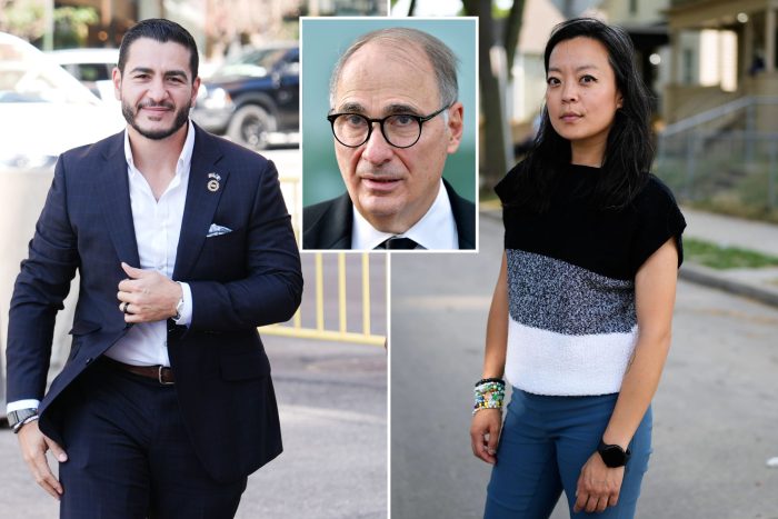 David Axelrod says Francesca Hong losing Wisconsin bid would be good for ‘serious person’ Abdul el Sayed